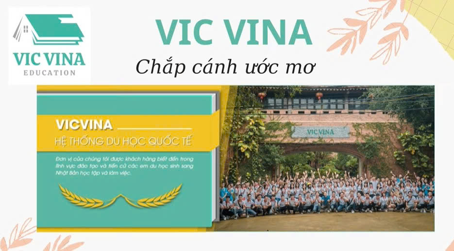 VIC VINA: du học sinh bổng báo cuộc sống và công việc